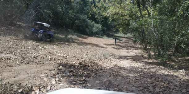 cleaning to fire lines started in kalesar national park